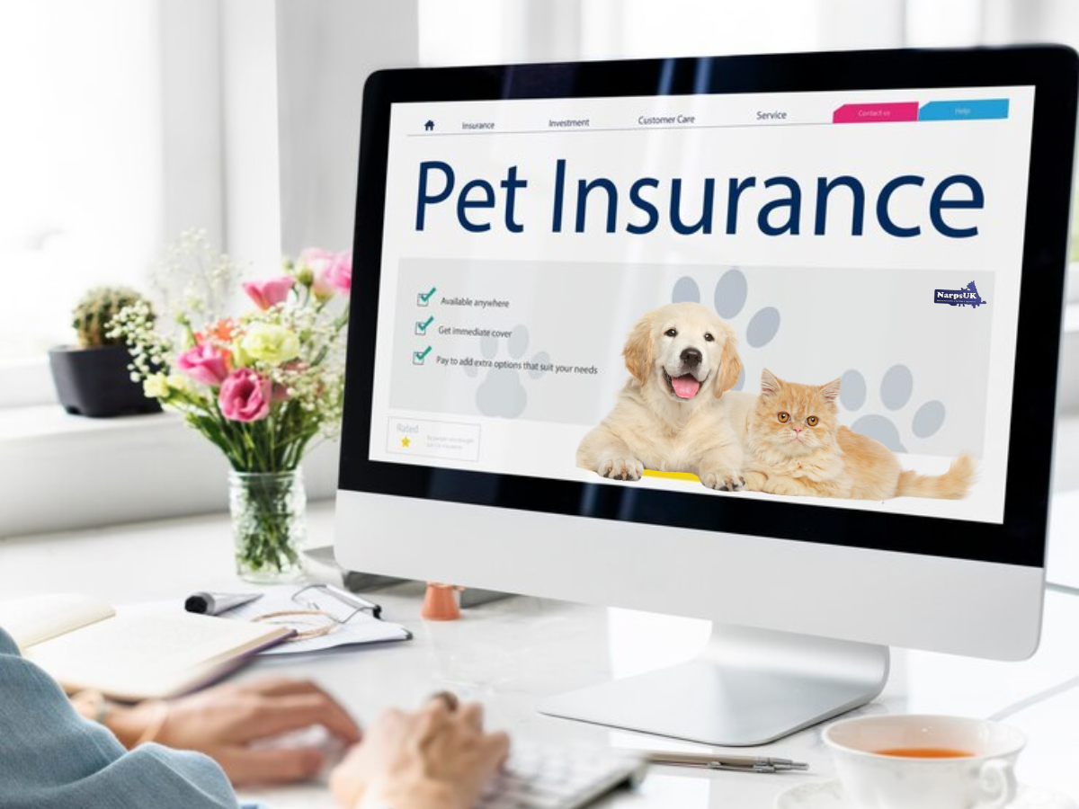 Pet Insurance UK